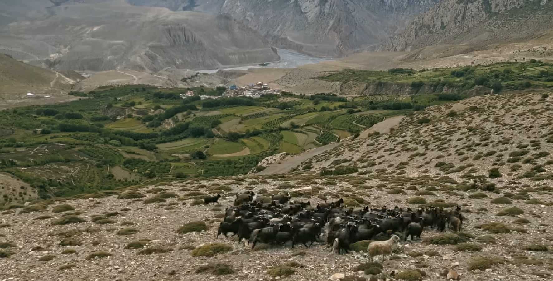 Upper Dolpo Trek