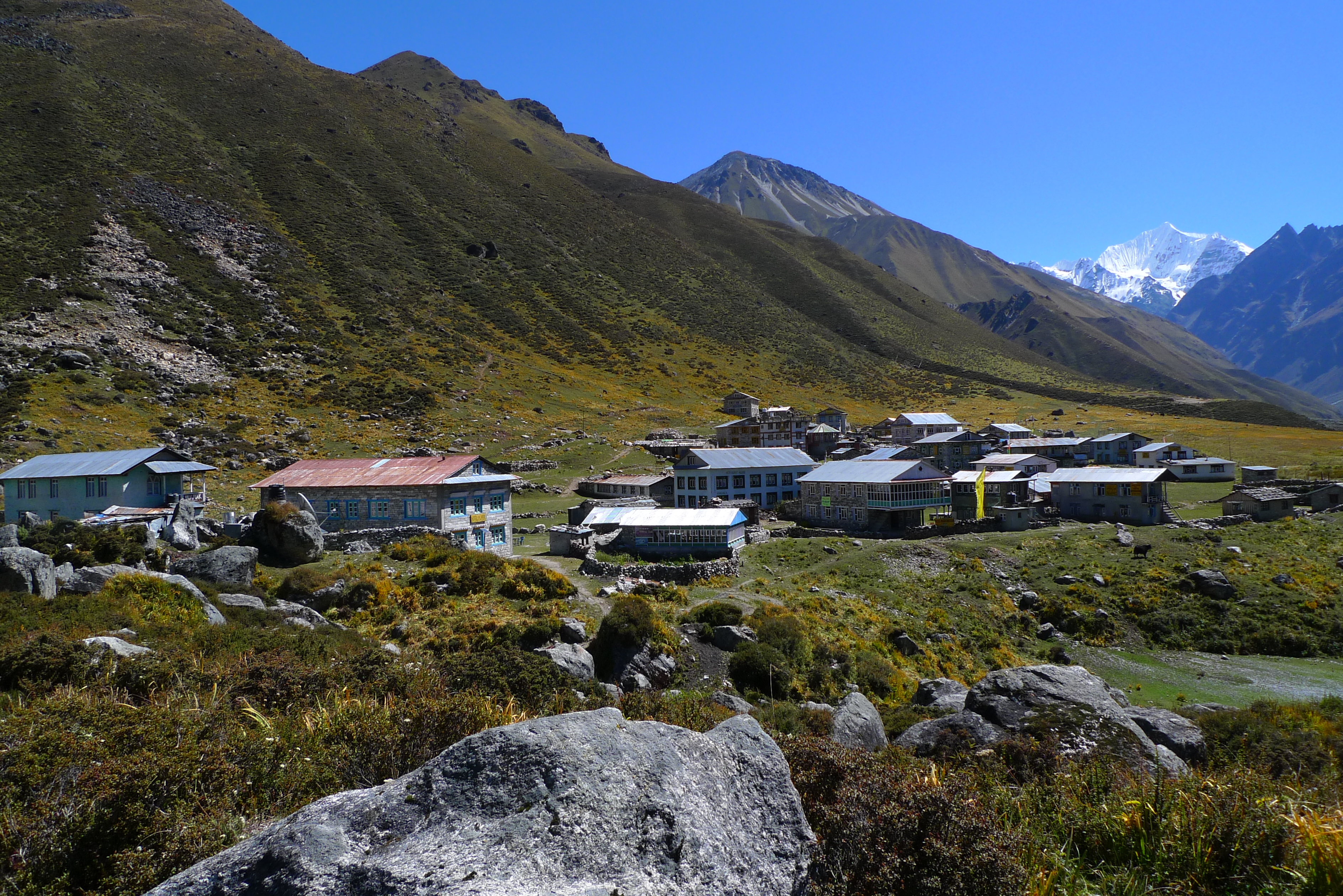 Langtang Valley Trek